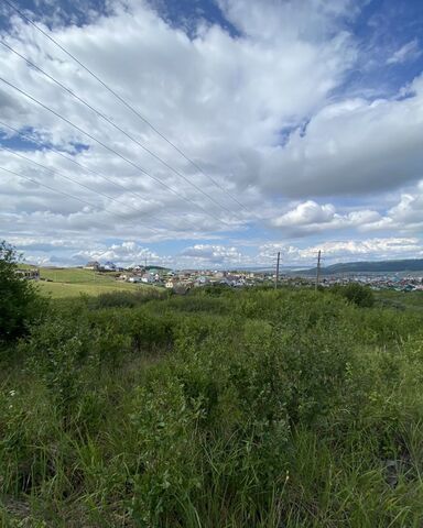 Октябрьский, садоводческое товарищество фото