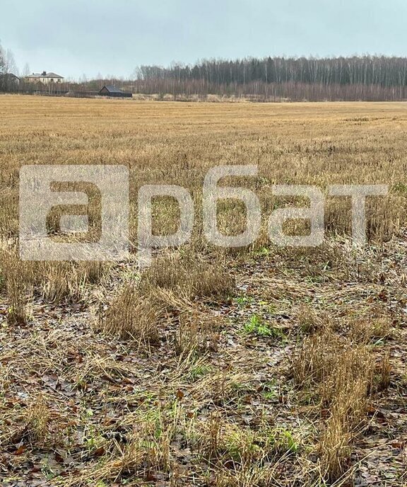 земля р-н Костромской с Ильинское Самсоновское сельское поселение фото 4