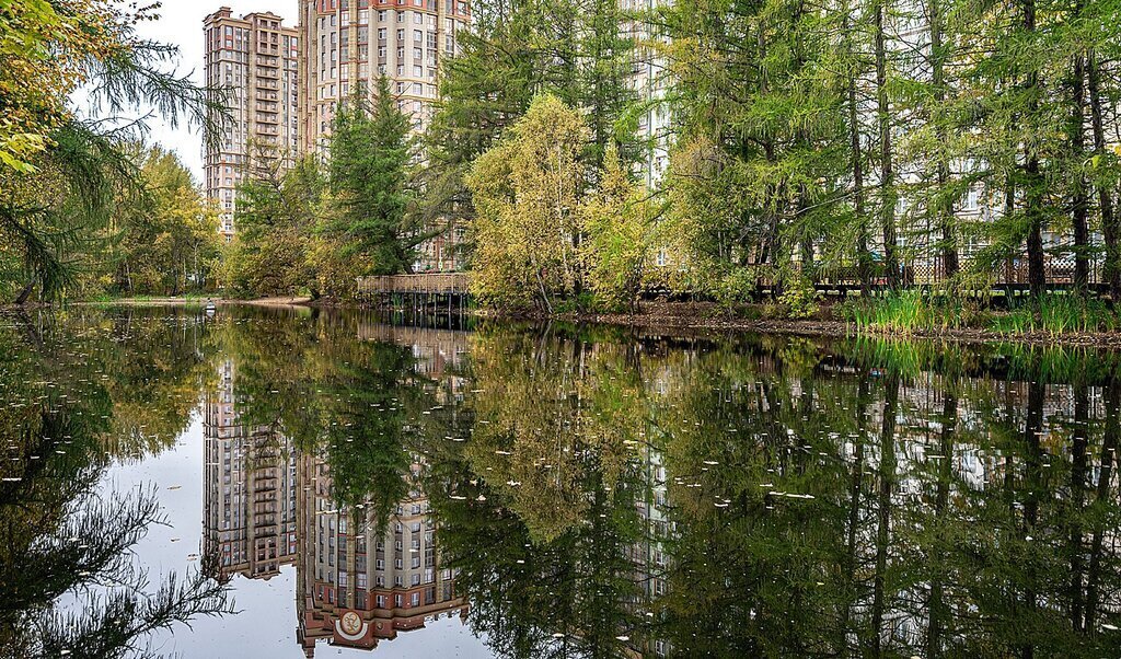 квартира г Москва метро Рассказовка ТиНАО Внуково бульвар Андрея Тарковского, 7 фото 21