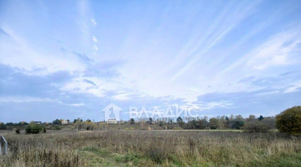 земля городской округ Одинцовский д Рязань ул Рязанская горка фото 2