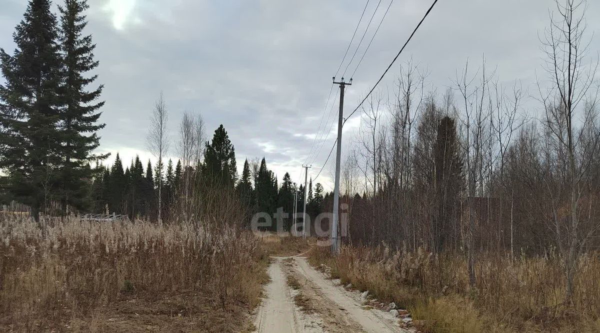 земля г Ханты-Мансийск снт Тайга СОК фото 3