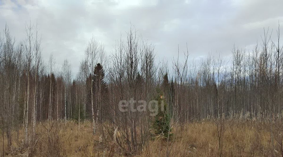 земля г Ханты-Мансийск снт Тайга СОК фото 4