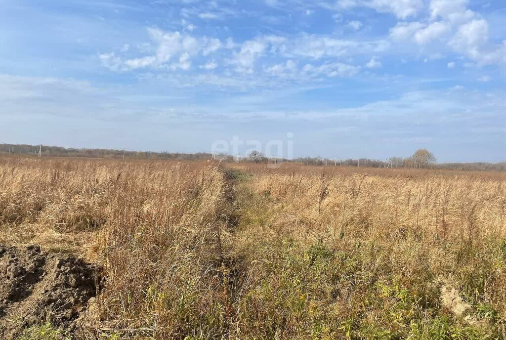 земля г Хабаровск р-н Железнодорожный ул Радужная фото 2