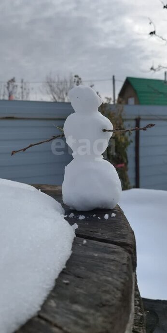 дом р-н Тюменский снт Боровое ул Садовая фото 17