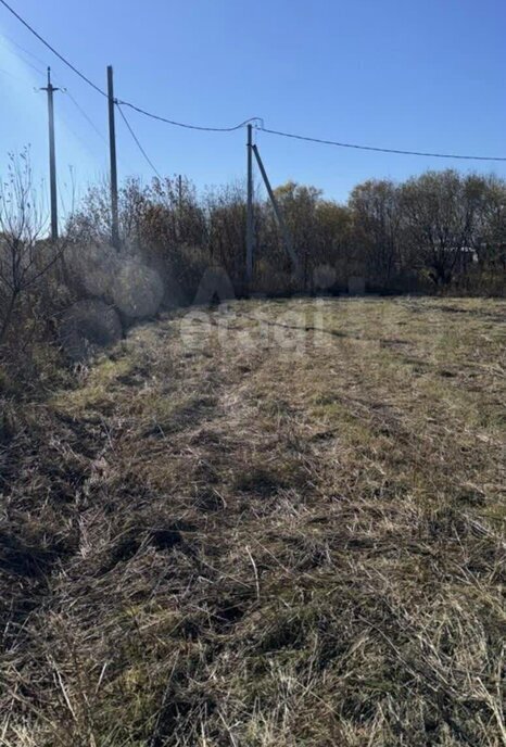 земля р-н Благовещенский с Грибское Благовещенский муниципальный округ фото 1