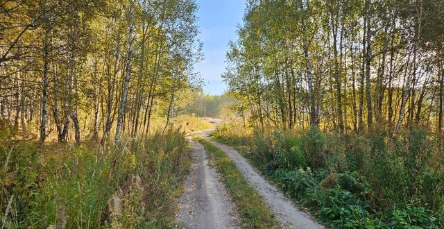 земля Демидовское, Ясногорск, муниципальное образование фото