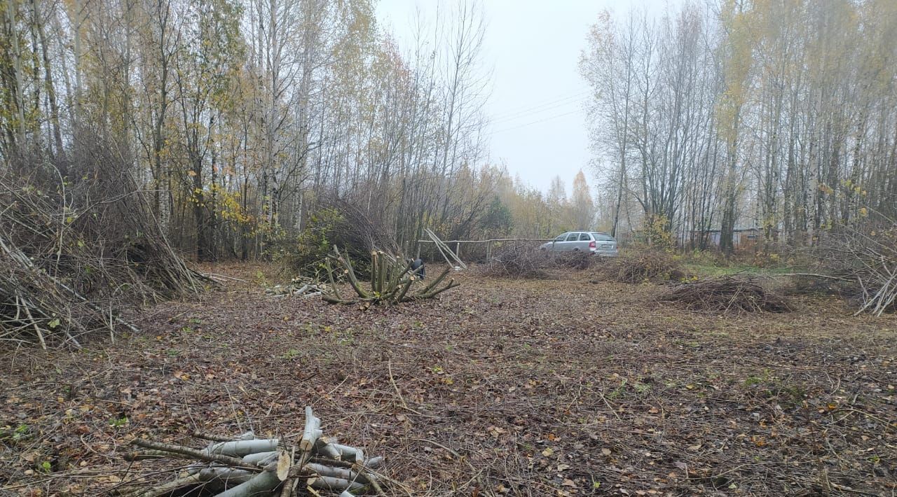 земля городской округ Серебряные Пруды д Красновские Выселки снт Лобаново 228 фото 8