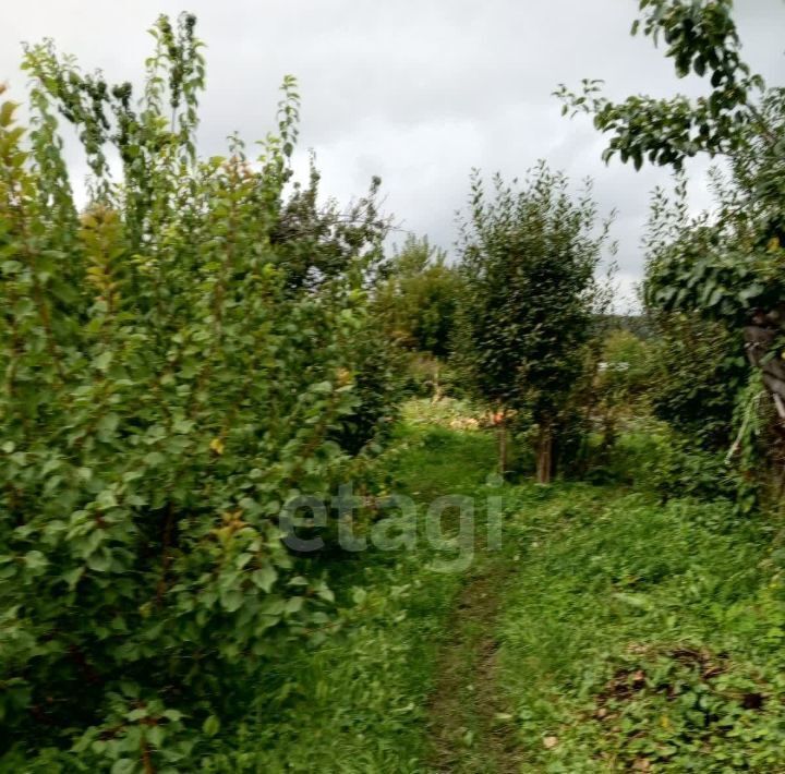 дом р-н Зональный с Соколово ул Советская 82 фото 8