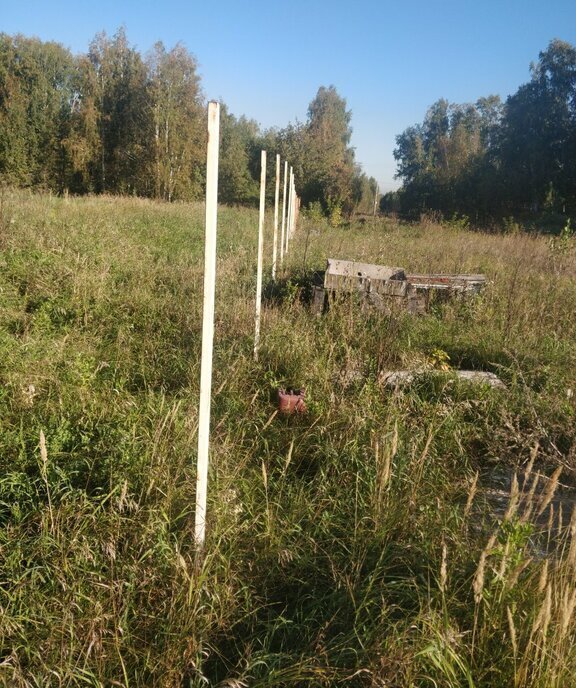 земля р-н Уйский п Заозерный Копейский городской округ фото 6