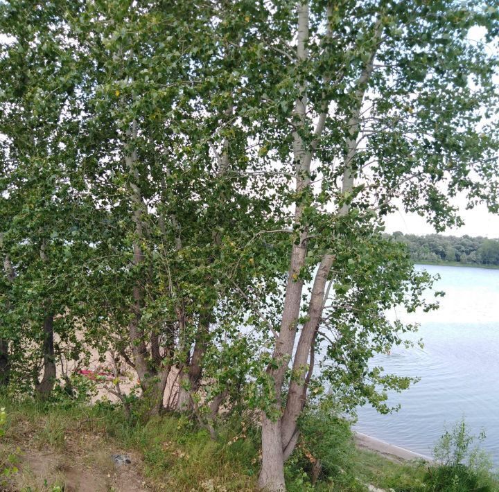 дом р-н Красноярский снт Сокский залив 239, Новосемейкино городское поселение фото 14