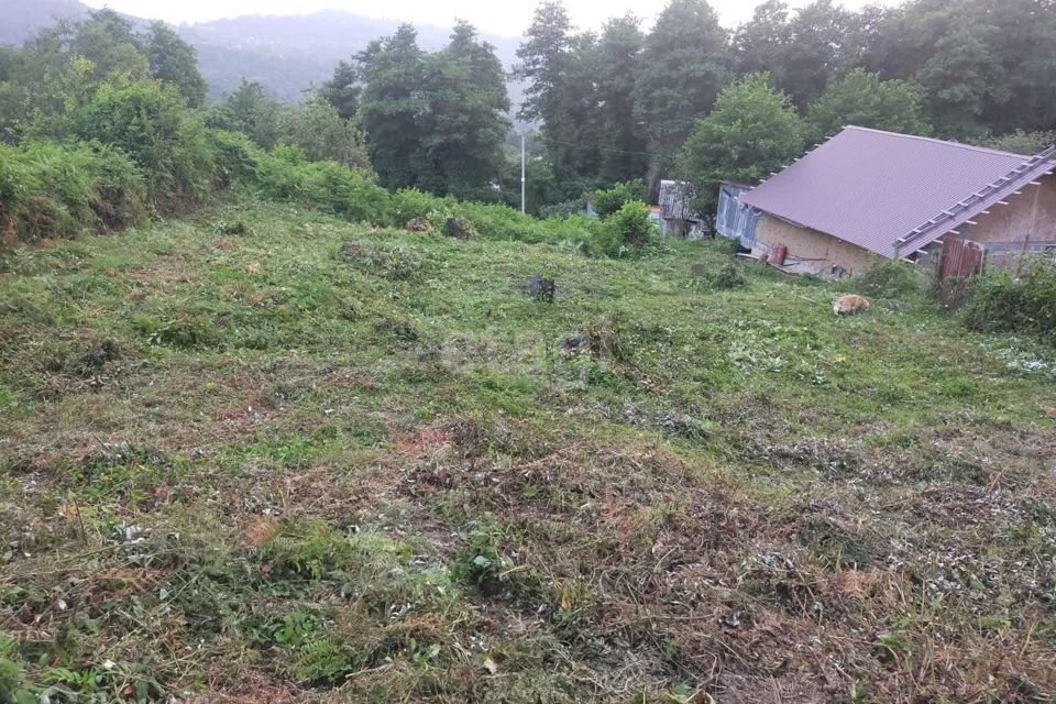 земля г Сочи с Верхнениколаевское городской округ Сочи, садоводческое товарищество СМП-603 Строитель фото 3