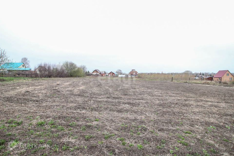 земля г Барнаул п Бельмесево ул Советская 1а р-н Центральный городской округ Барнаул фото 5