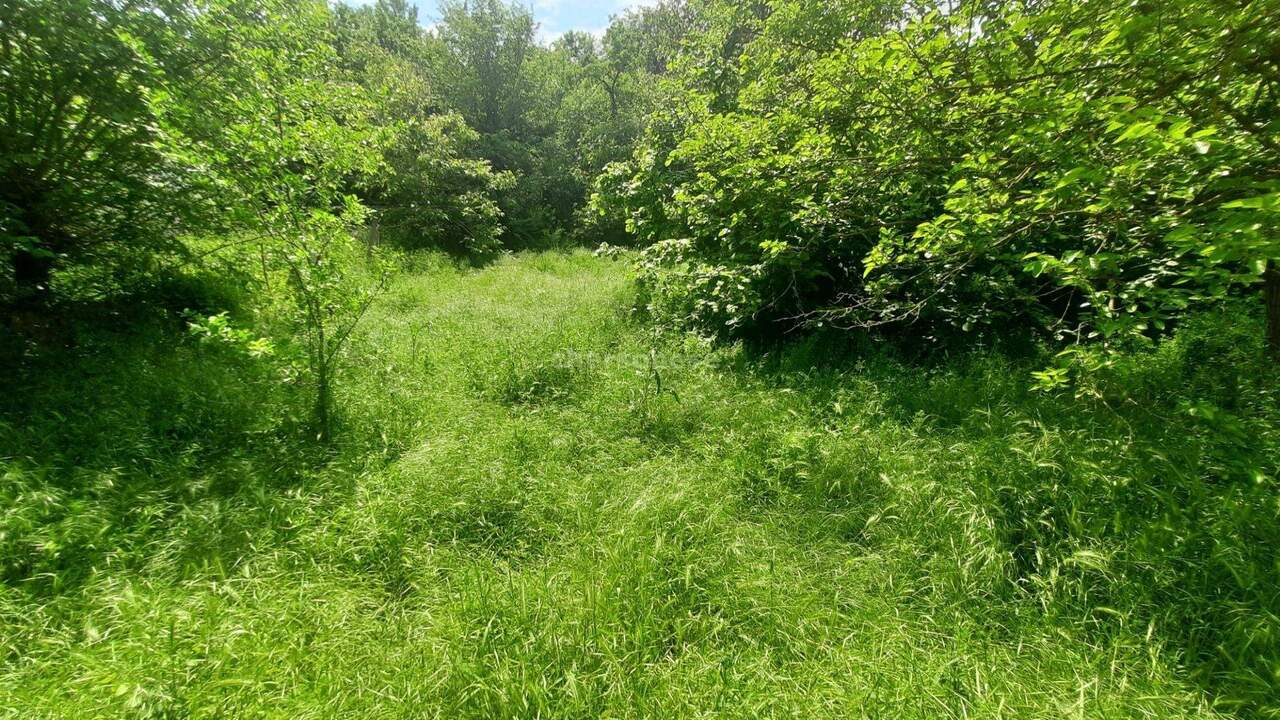 дом р-н Бахчисарайский с Нижняя Голубинка ул Заречная Голубинское сельское поселение фото 13