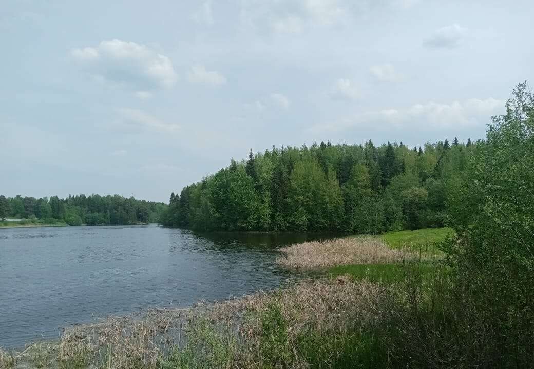 дом р-н Кинешемский д Степино Горковское сельское поселение, Кинешма фото 7