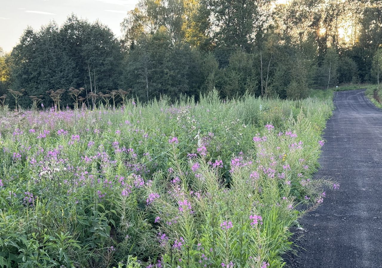 земля городской округ Дмитровский рп Деденево 9765 км, коттеджный пос. Форест Клаб, 2, Дмитровское шоссе фото 3