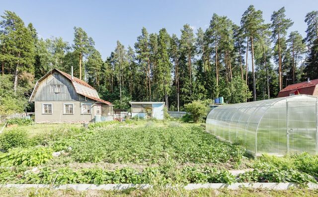 ул Широкая 27 км, Фрязино, СНТ Заозёрный, Фряновское шоссе фото