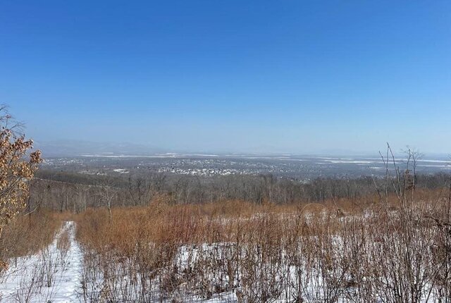 снт Лесник ул Надеждинская фото