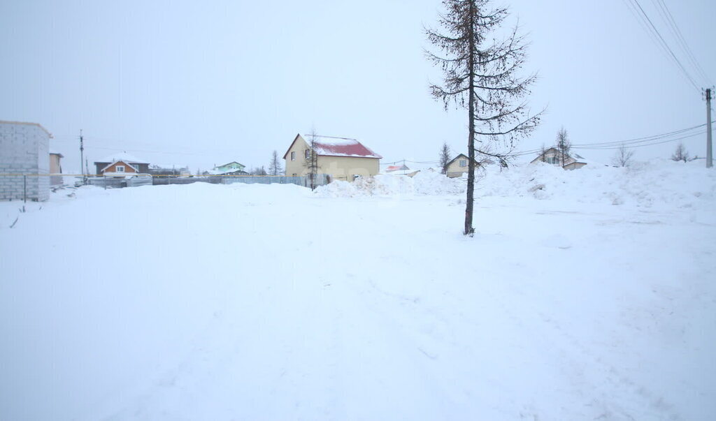 земля г Новый Уренгой ул Снежная ДНТ Лира фото 4