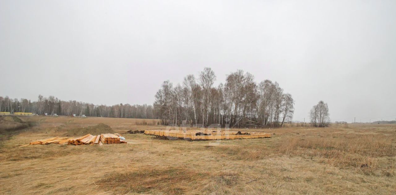 земля р-н Первомайский с Фирсово ул. Кедровая, 2А фото 1