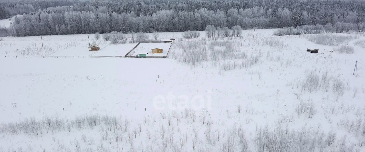 земля р-н Сыктывдинский с Выльгорт фото 12