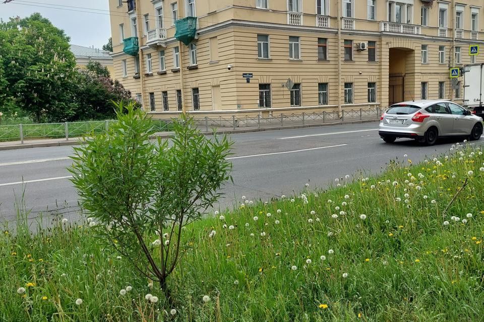 квартира г Санкт-Петербург ул Профессора Качалова 1 пр-кт Обуховской Обороны Невский, 15 фото 1