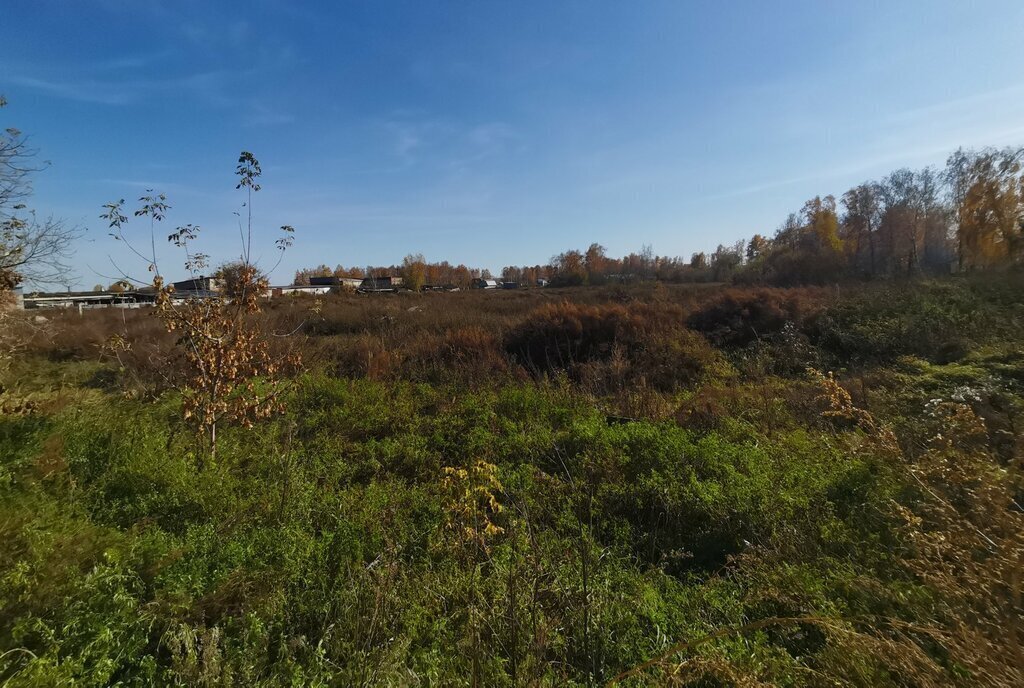 земля р-н Первомайский п Бажево фото 1