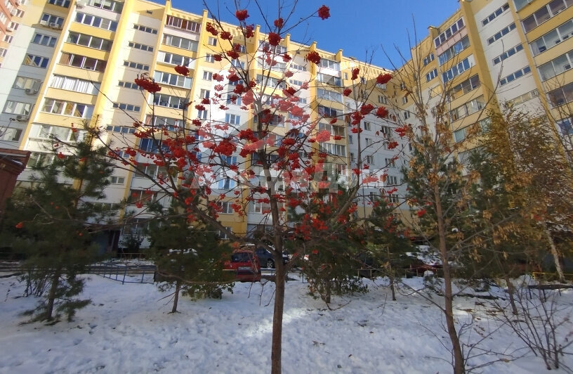 квартира г Челябинск р-н Курчатовский ул Салавата Юлаева 6 фото 12