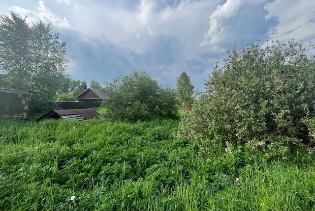 снт Торгоша 81, Сергиево-Посадский городской округ фото