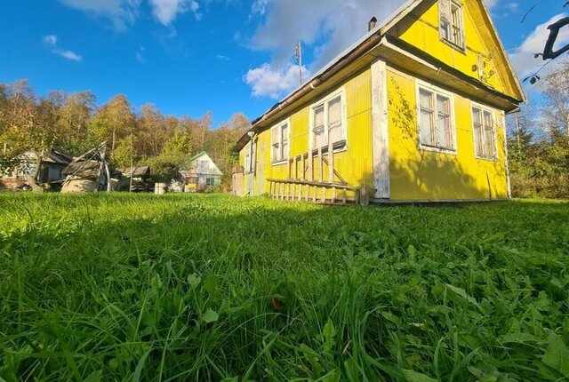 снт Ладога Синявинское городское поселение фото