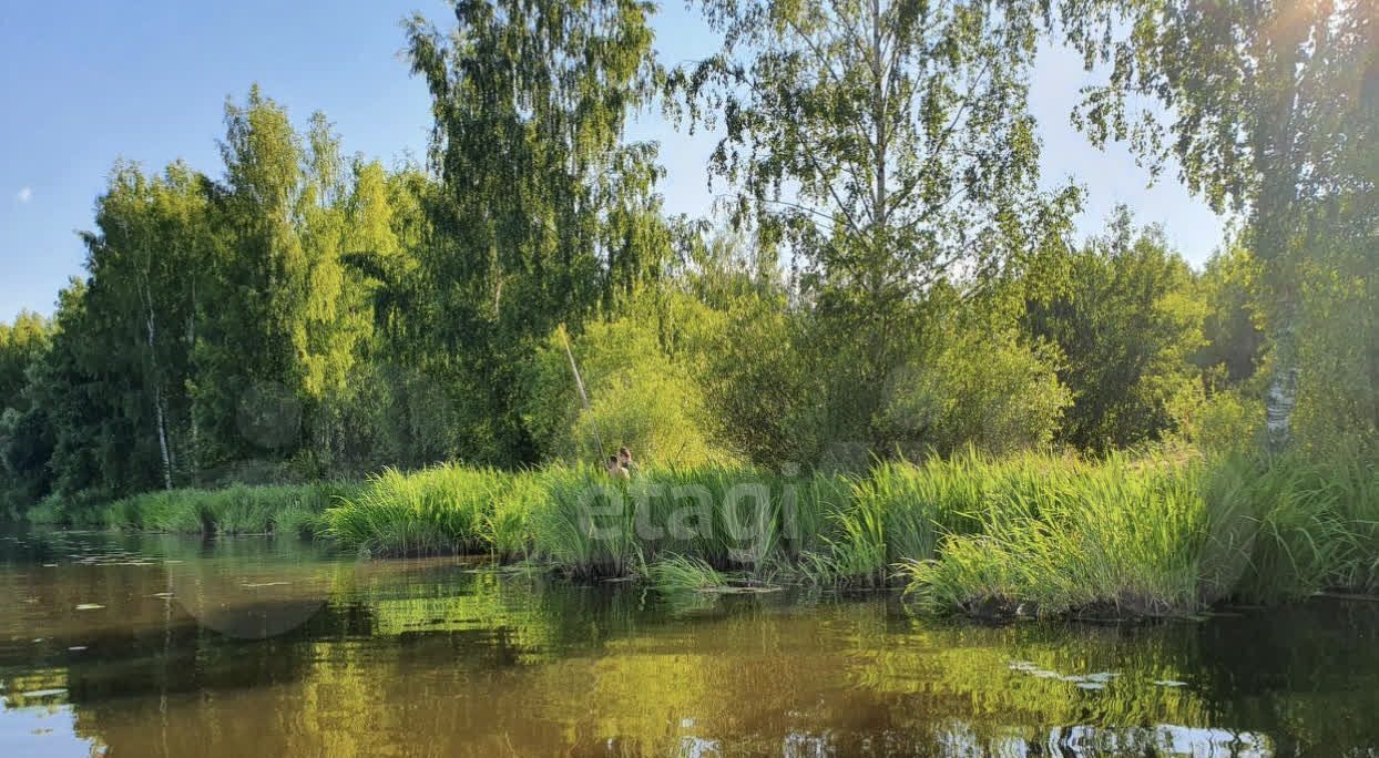 земля р-н Костромской д Башутино Кузьмищенское с/пос, 3 фото 3