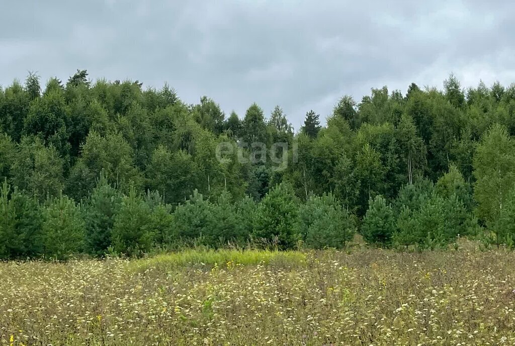 земля р-н Звениговский д Семеновка Кокшайское сельское поселение фото 4