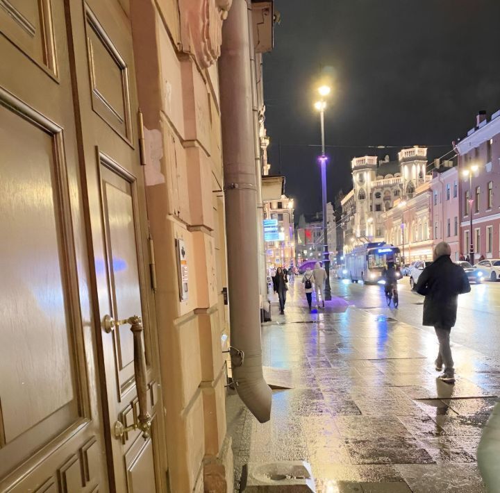 комната г Санкт-Петербург метро Петроградская просп. Большой Петроградской стороны, 90 фото 9