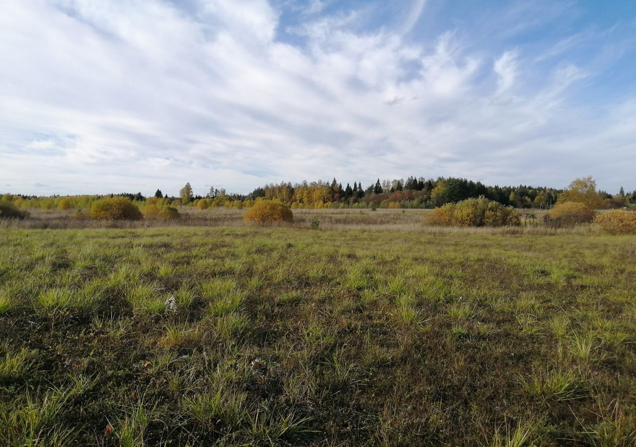 земля городской округ Можайский д Долгинино 9810 км, Можайск, Минское шоссе фото 6