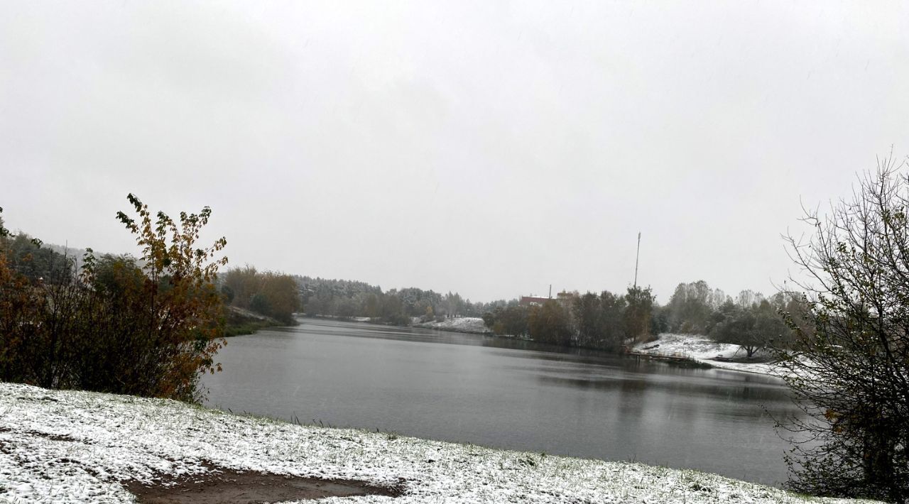 дом городской округ Красногорск с Петрово-Дальнее ул Садовая 11а Павшино фото 15