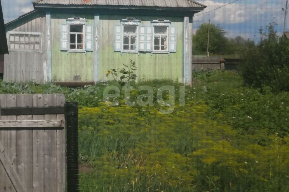 дом р-н Сладковский деревня Покровка фото 3