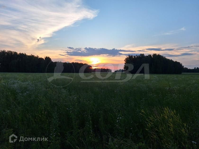 земля р-н Тюменский деревня Большие Акияры фото 1