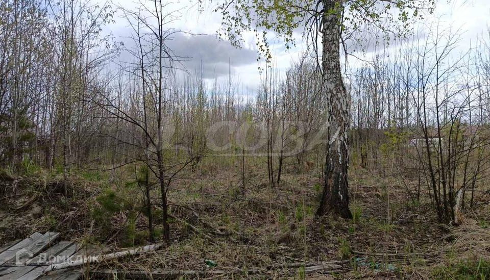 земля р-н Нижнетавдинский снт Здоровье-3 фото 1