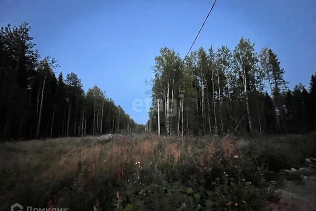 городской округ Сыктывкар, Эжвинский фото