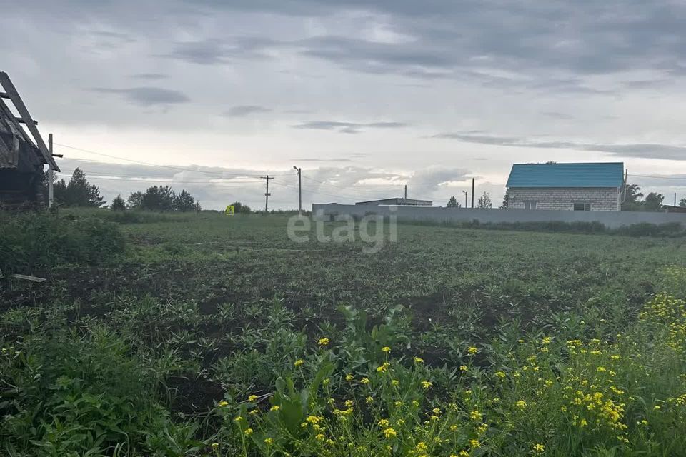 земля р-н Камышловский д Шипицына ул Школьная фото 1