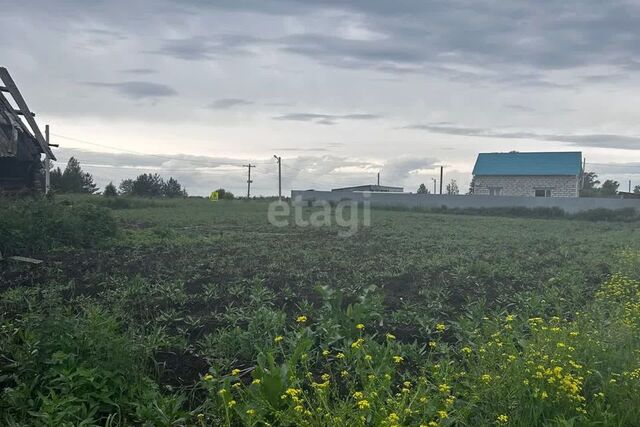 д Шипицына ул Школьная фото