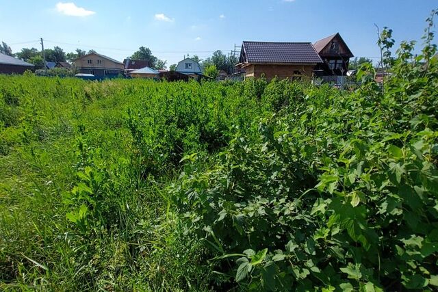 село Зубово фото