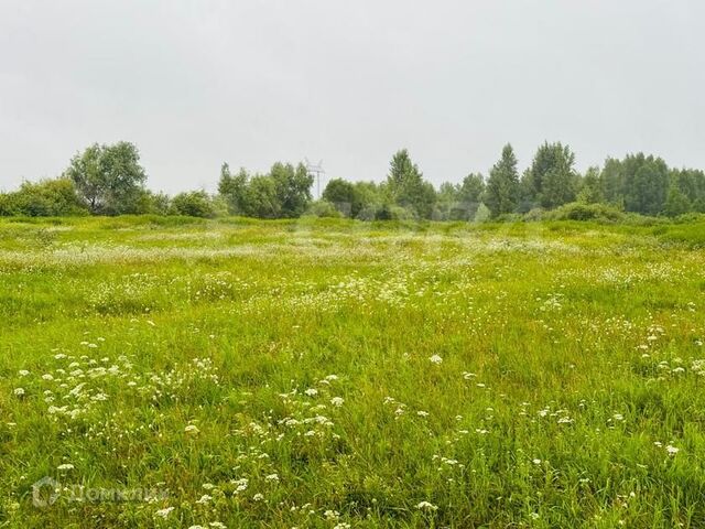 село Щербак фото