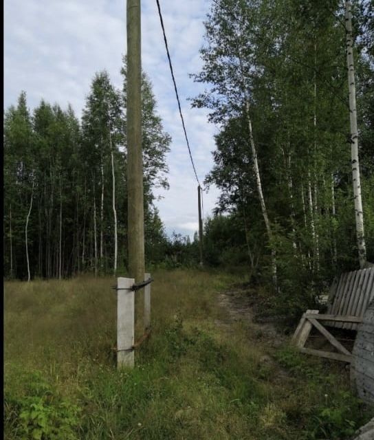 земля г Ханты-Мансийск СОТ Дорожник-3, городской округ Ханты-Мансийск фото 1