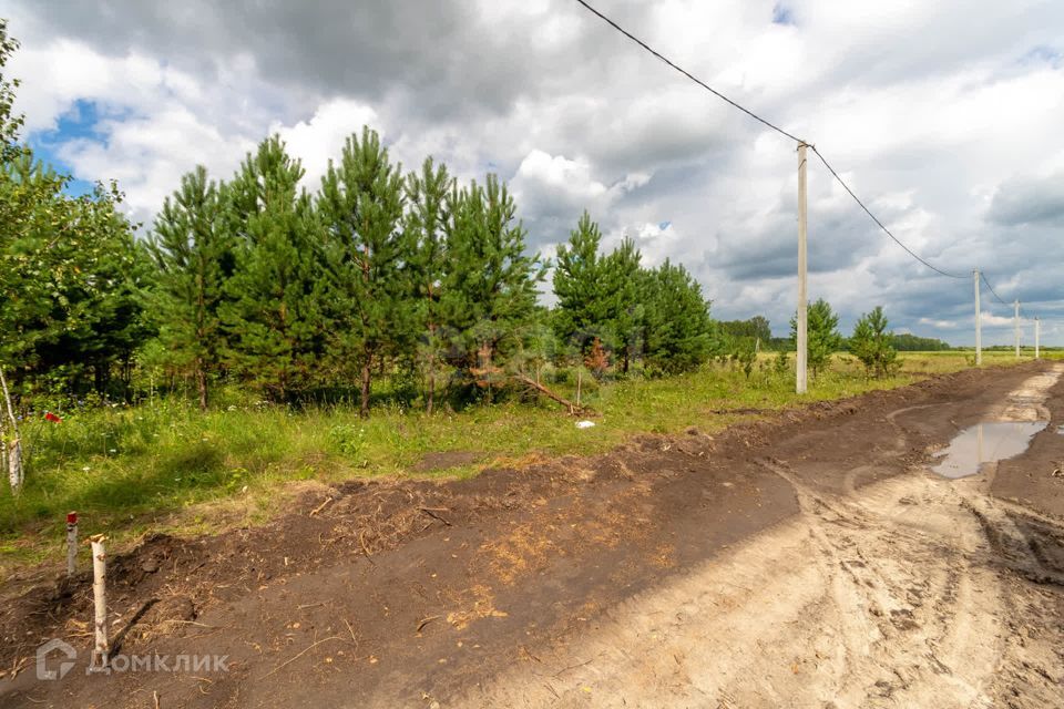 земля р-н Нижнетавдинский д Московка 2-я линия фото 4