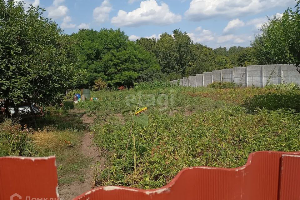 земля р-н Белгородский село Шагаровка фото 4