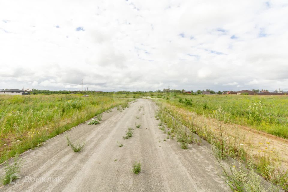 земля р-н Тюменский село Луговое фото 8