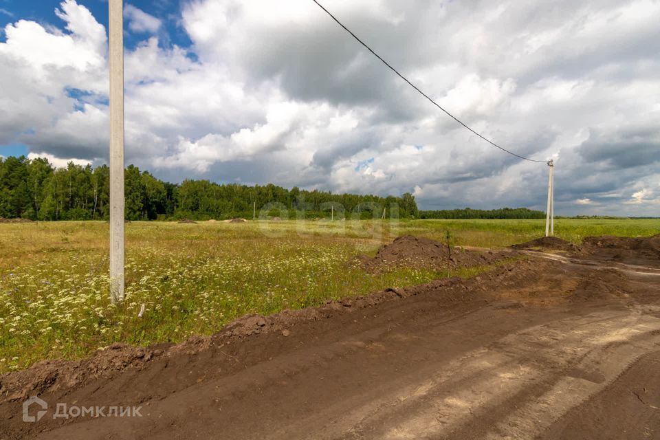 земля р-н Нижнетавдинский д Московка 2-я линия фото 5