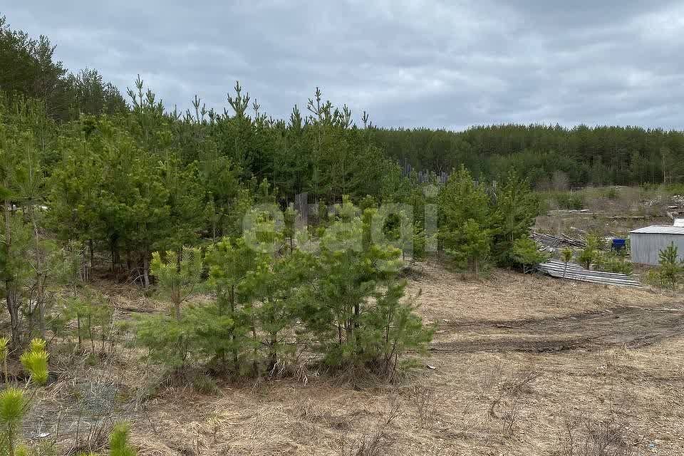 земля г Екатеринбург р-н Чкаловский Екатеринбург городской округ, Хозяйственный корпус фото 6