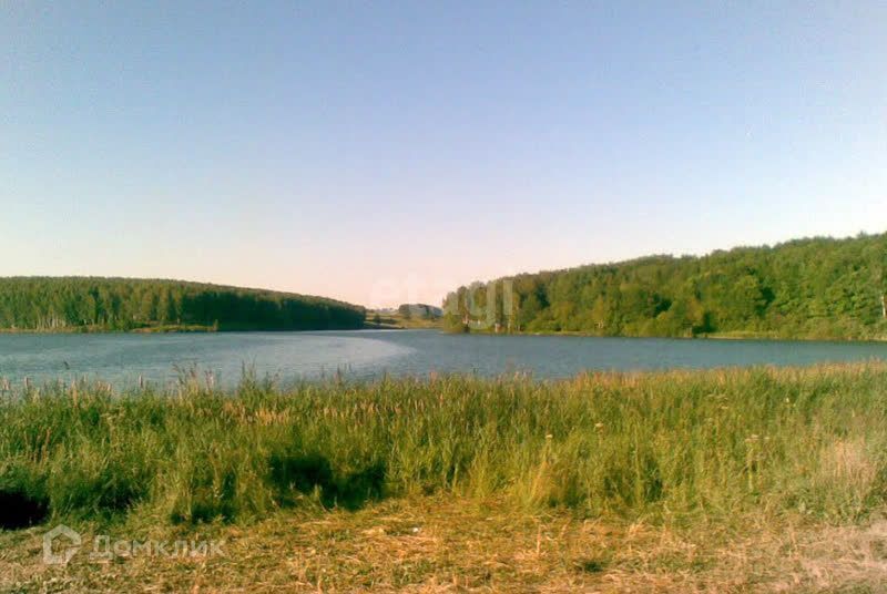 земля р-н Богородский деревня Бурцево фото 10