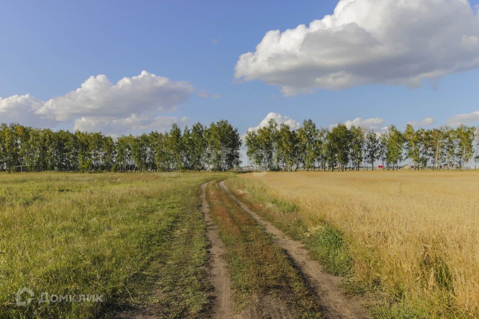 земля р-н Омский Зеленое Поле фото 10